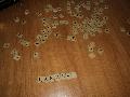 Bildname: DSC07858.JPG