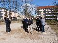 Bildname: P1020153.JPG
